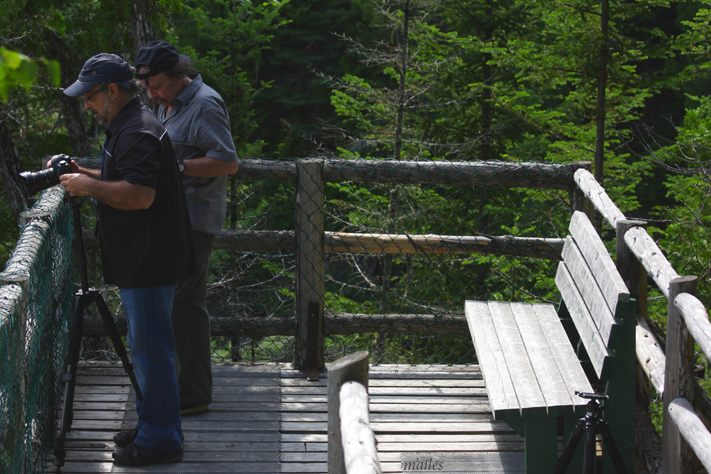 bancs du Bas SaintLaurent 7